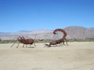 PICTURES/Borrego Springs Sculptures - Bugs, Cats & Birds/t_IMG_8786.JPG